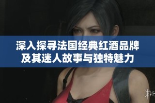 深入探寻法国经典红酒品牌及其迷人故事与独特魅力