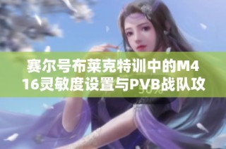 赛尔号布莱克特训中的M416灵敏度设置与PVB战队攻略解析