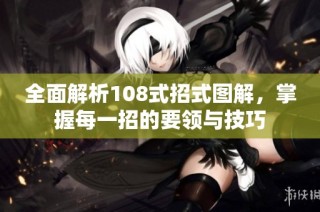 全面解析108式招式图解，掌握每一招的要领与技巧