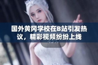 国外黄冈学校在B站引发热议，精彩视频纷纷上线