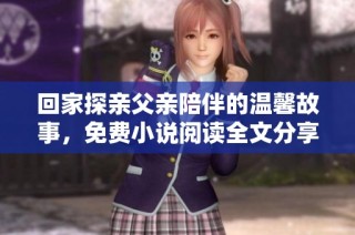 回家探亲父亲陪伴的温馨故事，免费小说阅读全文分享
