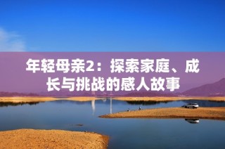 年轻母亲2：探索家庭、成长与挑战的感人故事
