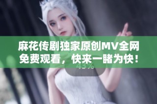 麻花传剧独家原创MV全网免费观看，快来一睹为快！