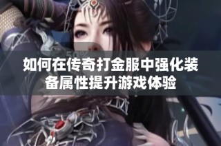 如何在传奇打金服中强化装备属性提升游戏体验