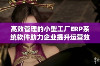 高效管理的小型工厂ERP系统软件助力企业提升运营效率