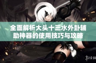 全面解析大头十三水外卦辅助神器的使用技巧与攻略