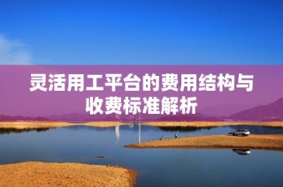 灵活用工平台的费用结构与收费标准解析