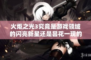 火炬之光3究竟是游戏领域的闪亮新星还是昙花一现的短暂现象