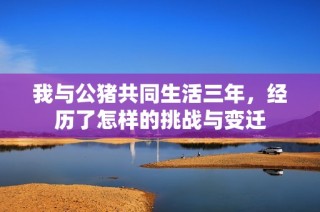 我与公猪共同生活三年，经历了怎样的挑战与变迁