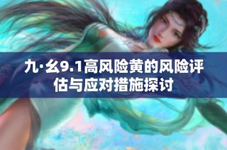 九·幺9.1高风险黄的风险评估与应对措施探讨