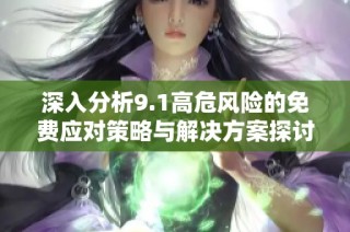 深入分析9.1高危风险的免费应对策略与解决方案探讨