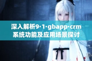 深入解析9·1·gbapp·crm系统功能及应用场景探讨