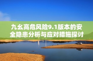 九幺高危风险9.1版本的安全隐患分析与应对措施探讨