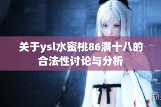 关于ysl水蜜桃86满十八的合法性讨论与分析