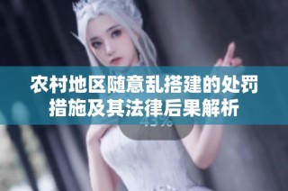 农村地区随意乱搭建的处罚措施及其法律后果解析