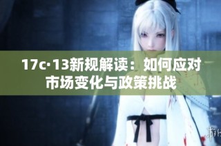 17c·13新规解读：如何应对市场变化与政策挑战