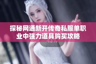 探秘网通新开传奇私服单职业中强力道具购买攻略