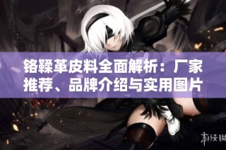 铬鞣革皮料全面解析：厂家推荐、品牌介绍与实用图片分享