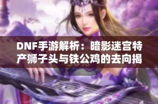 DNF手游解析：暗影迷宫特产狮子头与铁公鸡的去向揭秘