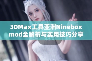 3DMax工具亚洲Nineboxmod全解析与实用技巧分享