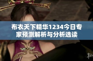 布衣天下精华1234今日专家预测解析与分析选读
