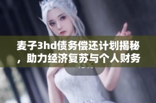 麦子3hd债务偿还计划揭秘，助力经济复苏与个人财务健康
