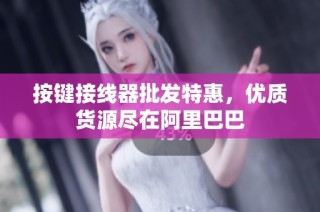 按键接线器批发特惠，优质货源尽在阿里巴巴