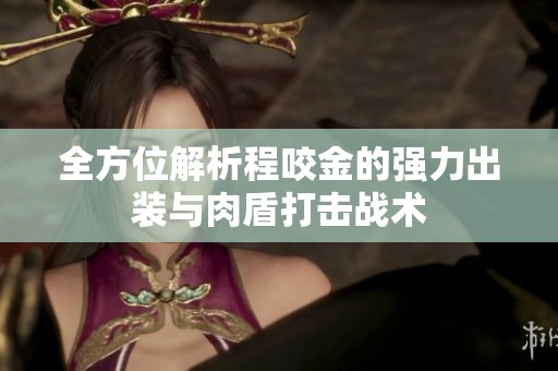 全方位解析程咬金的强力出装与肉盾打击战术
