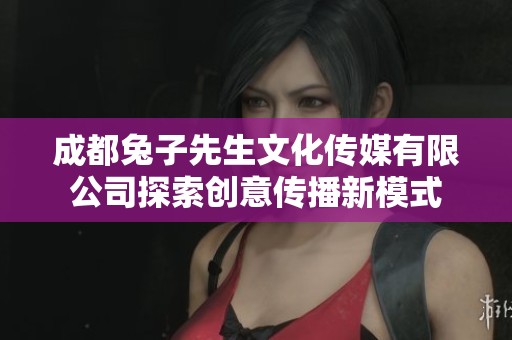 成都兔子先生文化传媒有限公司探索创意传播新模式