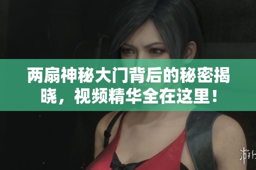 两扇神秘大门背后的秘密揭晓，视频精华全在这里！