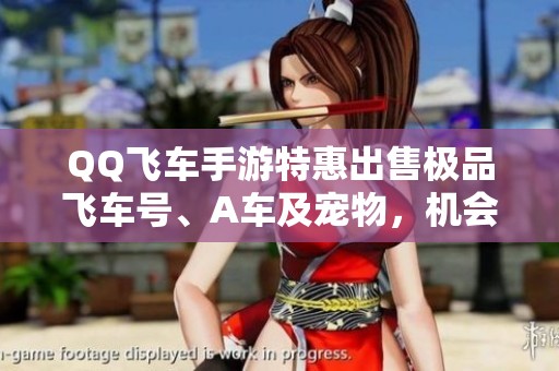 QQ飞车手游特惠出售极品飞车号、A车及宠物，机会不可错过！
