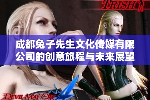 成都兔子先生文化传媒有限公司的创意旅程与未来展望