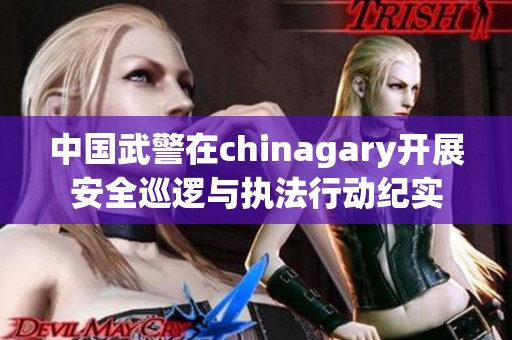 中国武警在chinagary开展安全巡逻与执法行动纪实