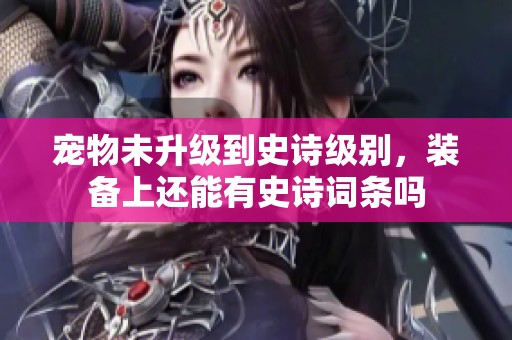 宠物未升级到史诗级别，装备上还能有史诗词条吗