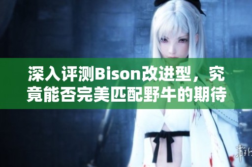 深入评测Bison改进型，究竟能否完美匹配野牛的期待