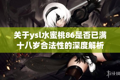 关于ysl水蜜桃86是否已满十八岁合法性的深度解析
