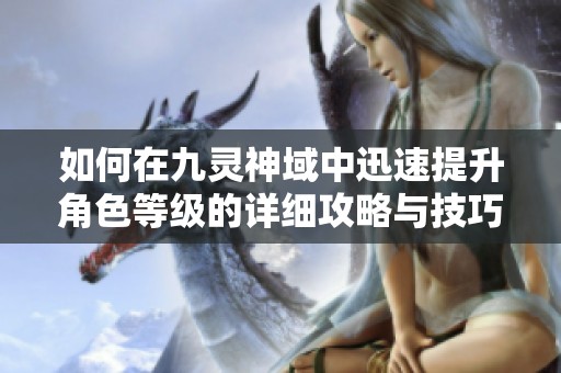 如何在九灵神域中迅速提升角色等级的详细攻略与技巧分享
