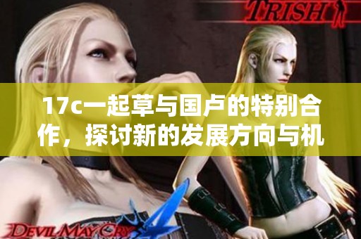 17c一起草与国卢的特别合作，探讨新的发展方向与机遇