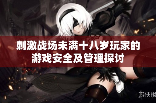 刺激战场未满十八岁玩家的游戏安全及管理探讨