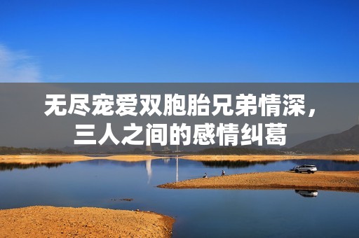 无尽宠爱双胞胎兄弟情深，三人之间的感情纠葛