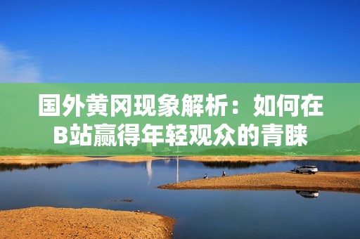 国外黄冈现象解析：如何在B站赢得年轻观众的青睐