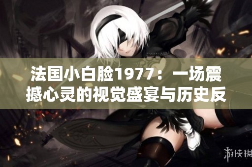 法国小白脸1977：一场震撼心灵的视觉盛宴与历史反思