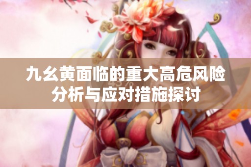九幺黄面临的重大高危风险分析与应对措施探讨