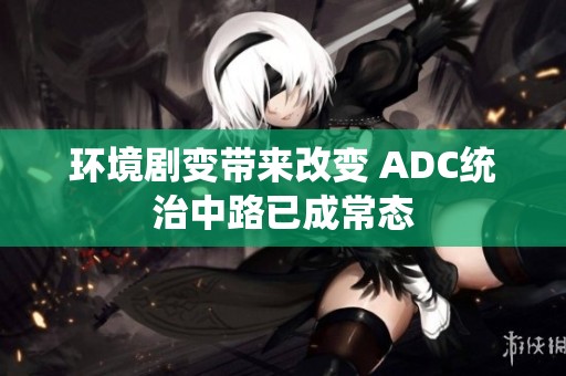 环境剧变带来改变 ADC统治中路已成常态
