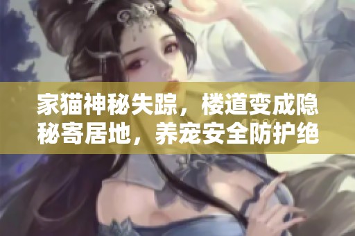 家猫神秘失踪，楼道变成隐秘寄居地，养宠安全防护绝不能忽视
