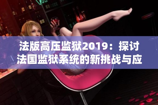 法版高压监狱2019：探讨法国监狱系统的新挑战与应对措施