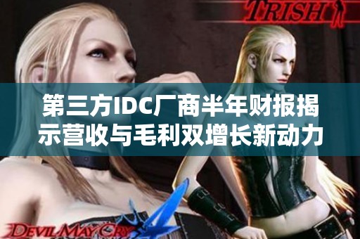 第三方IDC厂商半年财报揭示营收与毛利双增长新动力