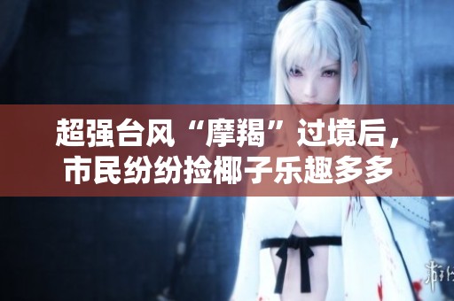 超强台风“摩羯”过境后，市民纷纷捡椰子乐趣多多