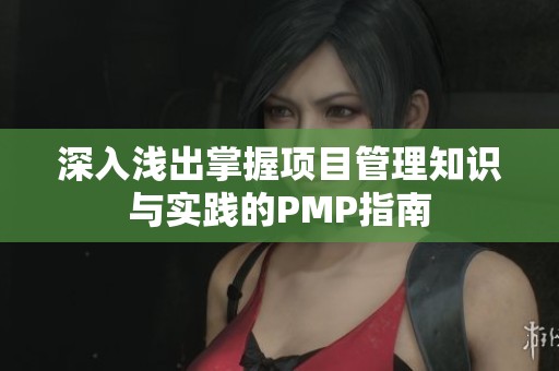 深入浅出掌握项目管理知识与实践的PMP指南