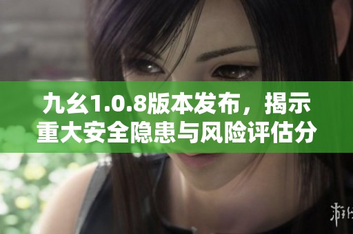 九幺1.0.8版本发布，揭示重大安全隐患与风险评估分析